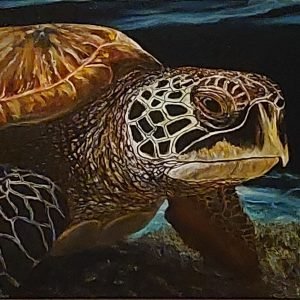 Turtle (SOLD)